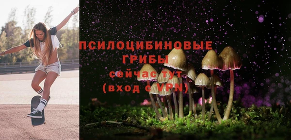 ECSTASY Михайловка