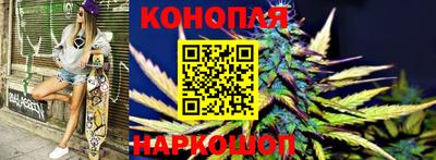 дмт Аргун