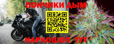 крисы Апшеронск