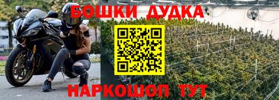 крисы Апшеронск