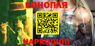 дмт Аргун