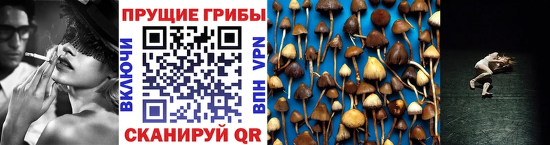 OMG онион  Батайск  Псилоцибиновые грибы мухоморы  где найти наркотики 