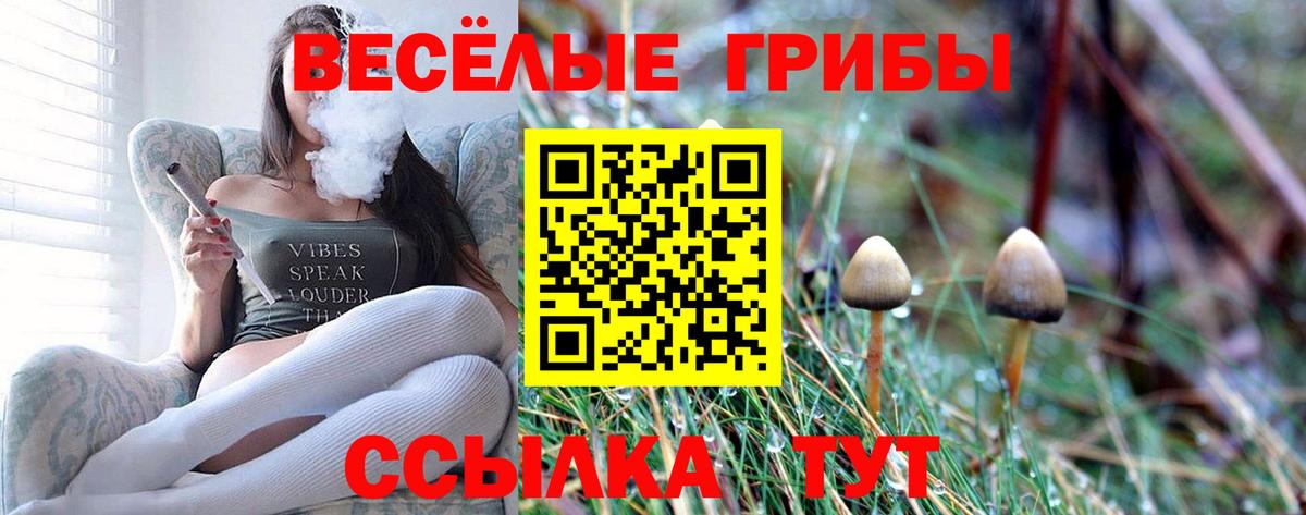 Галлюциногенные грибы Magic Shrooms  Псилоцибиновые грибы прущие грибы  Батайск 