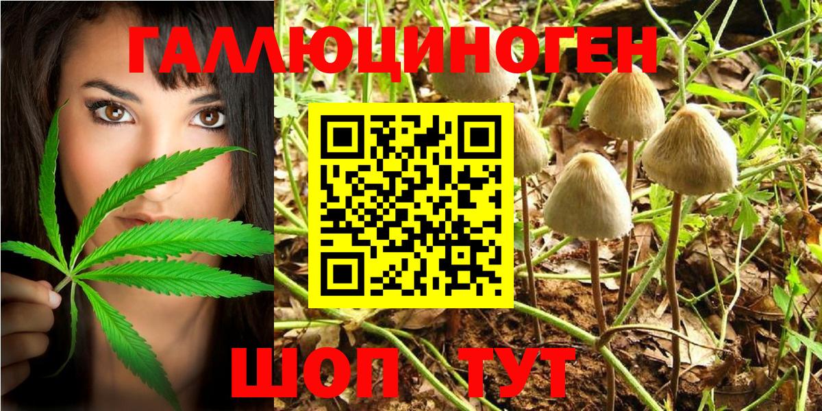 Псилоцибиновые грибы прущие грибы Батайск