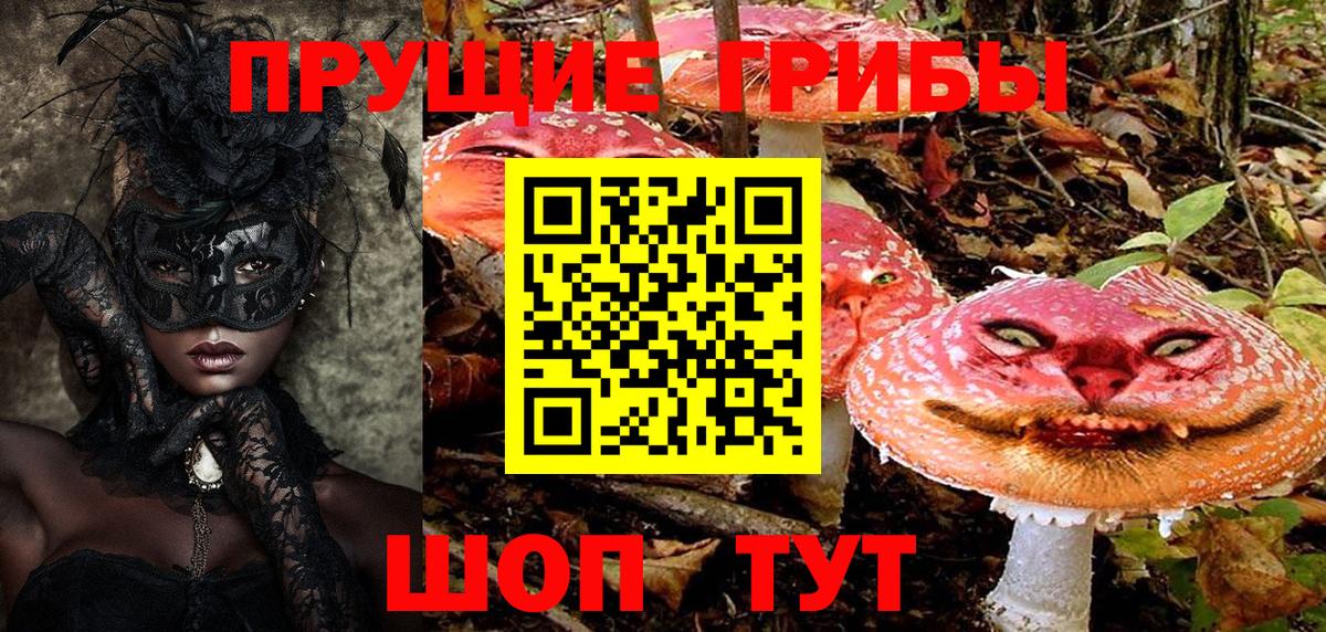Батайск  Псилоцибиновые грибы MAGIC MUSHROOMS  Вход с VPN 